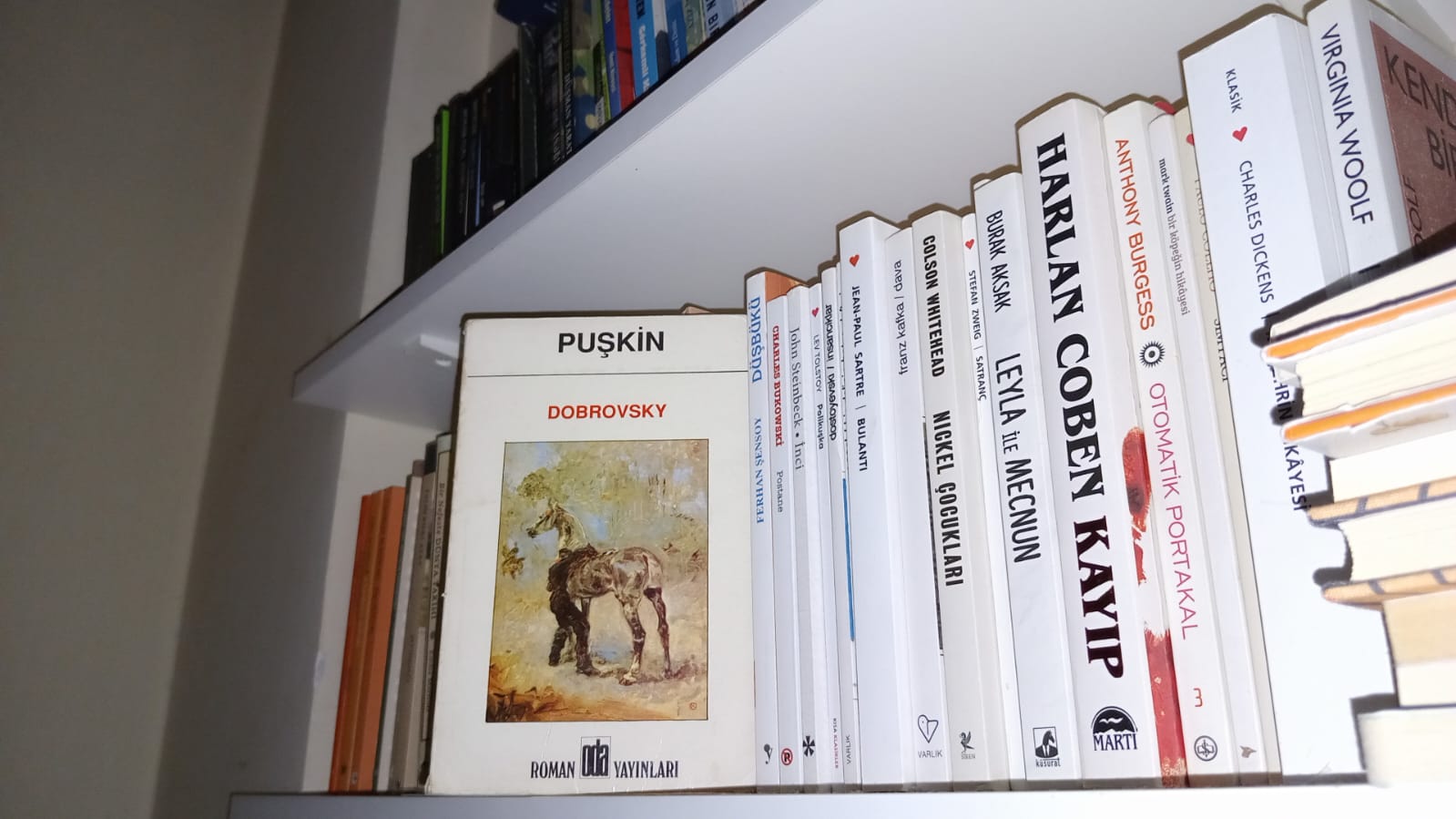 Bir İntikamın Öyküsü : Dobrovsky