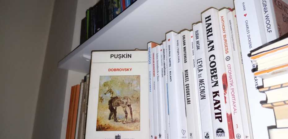 Bir İntikamın Öyküsü : Dobrovsky